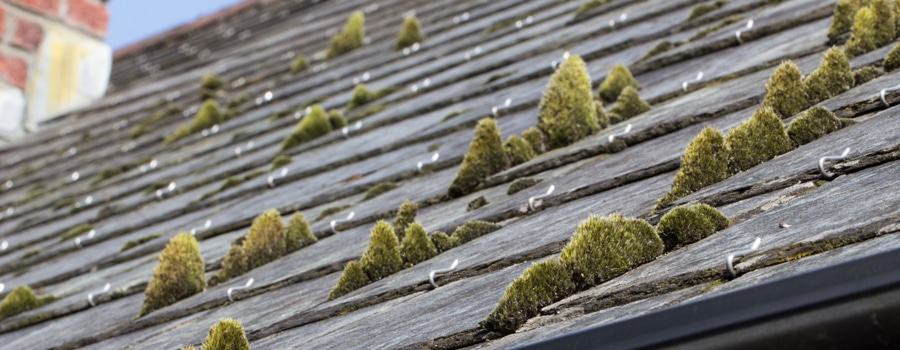 4-most-common-roofing-problems-that-require-immediate-attention